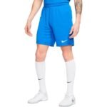 Nike· blue shorts